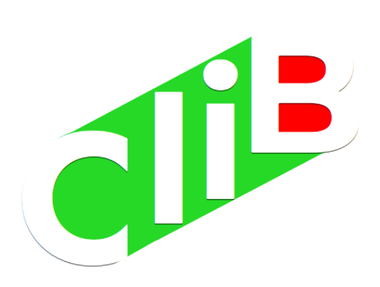 Computational Linguistics in Bulgaria