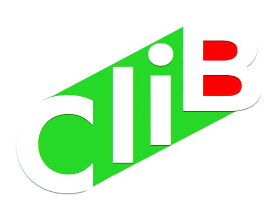 Computational Linguistics in Bulgaria